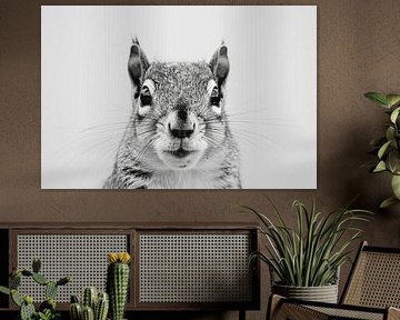 Écureuil sur Poster Art Shop