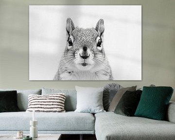 Écureuil sur Poster Art Shop