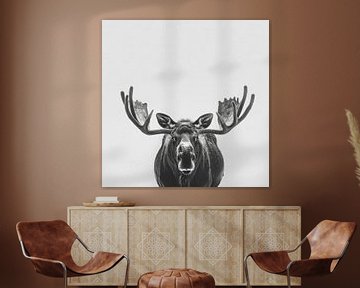 Eland van Poster Art Shop