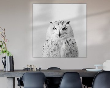 Uil - zwart-wit fotografie van Poster Art Shop