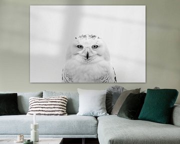 Uil - zwart-wit fotografie van Poster Art Shop