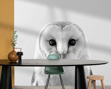 Owl by Poster Art Shop