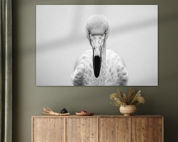 Flamingo by Poster Art Shop