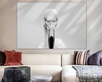 Flamingo by Poster Art Shop