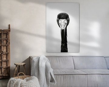 Flamingo by Poster Art Shop