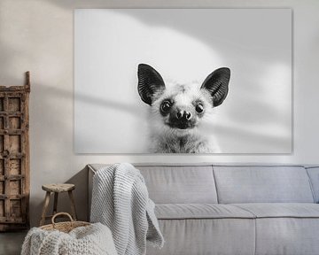 Fledermaus