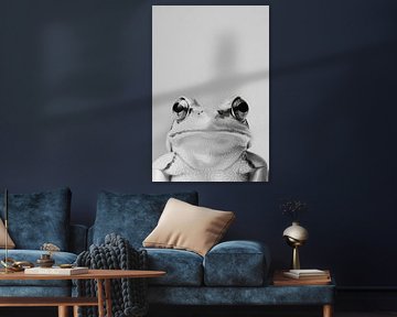 Frosch