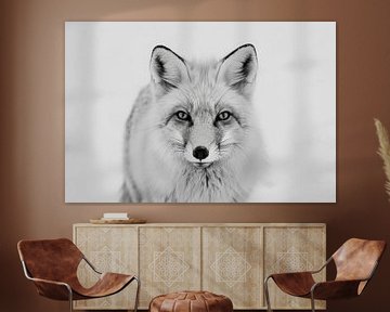 Fox van Poster Art Shop