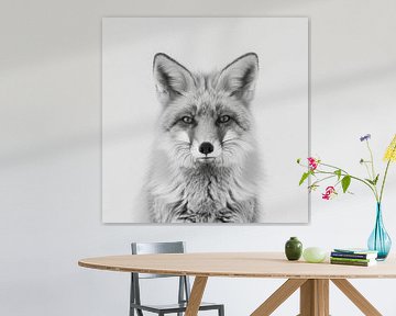 Fox van Poster Art Shop