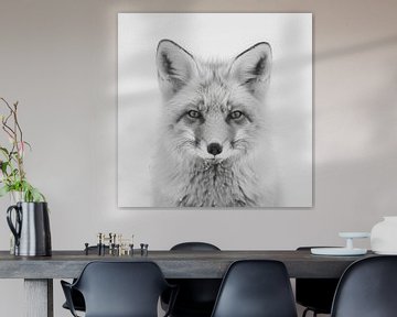 Fox van Poster Art Shop