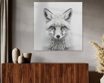 Fox van Poster Art Shop