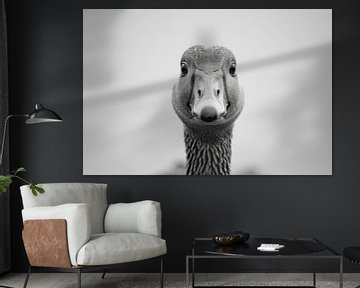 Gans van Poster Art Shop