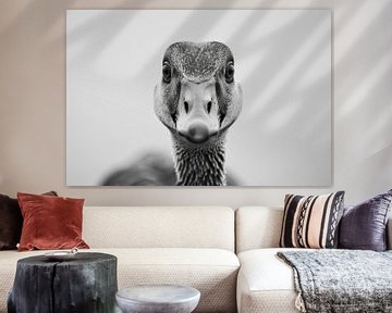 Gans van Poster Art Shop