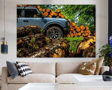 Ford Bronco Badlands van Bas Fransen