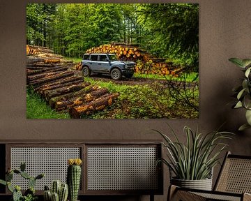 Ford Bronco Badlands van Bas Fransen