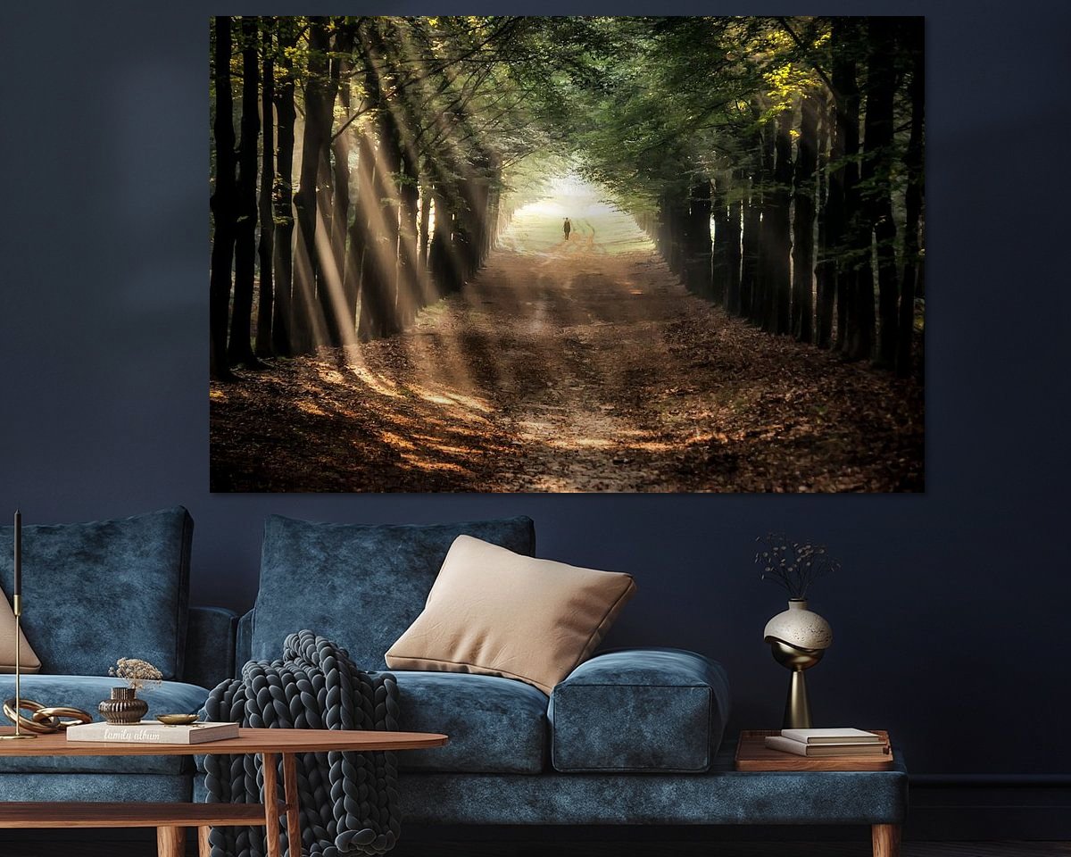 Raumvorschau