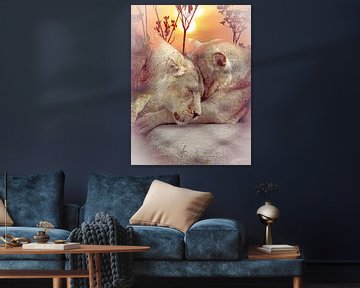 Lion Love