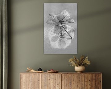 Stilleven met bloemen in zwart-wit : Het hortensiablaadje in het licht van Marjolijn van den Berg