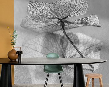 Still life with flowers in black and white : The hydrangea petal in the light by Marjolijn van den Berg