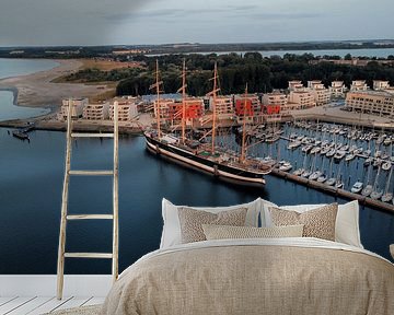 Das Segelschiff 'Passat' im Hafen von Lübeck-Travemünde von Nico van Maaswaal