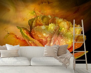 Stolz, eine Tulpe zu sein.