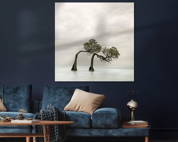 Dansende bomen Sumba