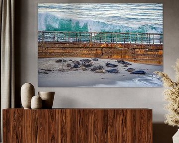 Geen zorgen in de wereld van Joseph S Giacalone Photography