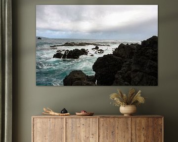 Rough coastline on Maui by Louise Poortvliet