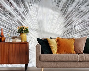 White peacock proudly displays its feathers by Laura Vink