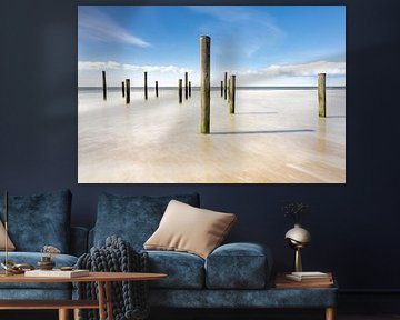 Palendorp Petten
