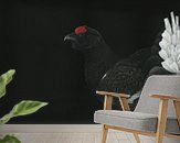 Raumvorschau