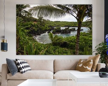 Tropical bay on Maui by Louise Poortvliet