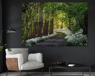 Lentemorgen in het Raspaillebos, België van Imladris Images