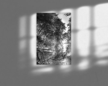 Twisted reflections in zwart-wit van Anouschka Hendriks