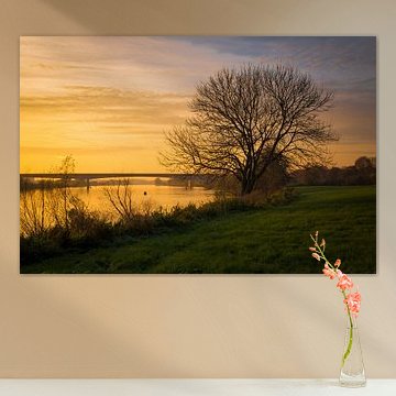 Waterfront Tree 'Autumn'