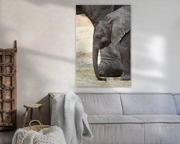 Jonge olifant aan de zijde van zijn moeder van Rini Kools