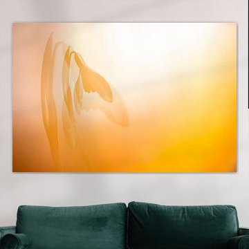 Snowdrop multiple exposure. by Melanie Brand Photography