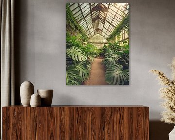 monstera greenery dream by Bianca van Dijk