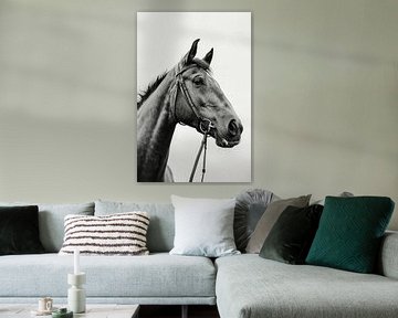Fier Paardenhoofd in Zwart-Wit van ByNoukk