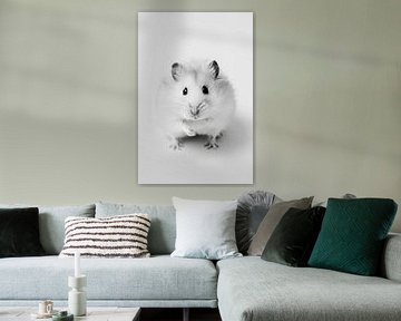 Hamster in zwart-wit van Poster Art Shop