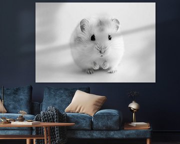 Hamster in black and white by Poster Art Shop
