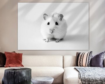 Hamster by Poster Art Shop