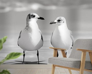 Seagulls at the beach by Black Coffee