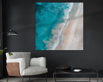 Vlucht over het strand van Koffie Zwart