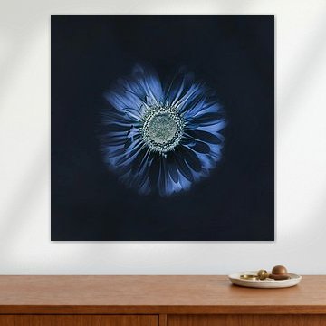 La nature en tant qu'artiste.