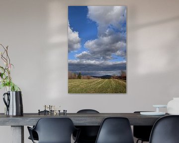 A field in spring by Claude Laprise