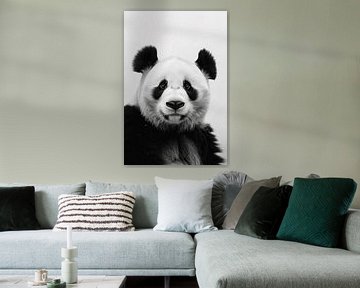 Panda in zwart-wit van Poster Art Shop