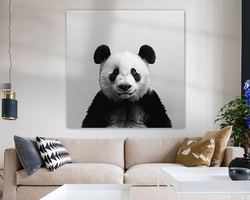 Panda van Poster Art Shop