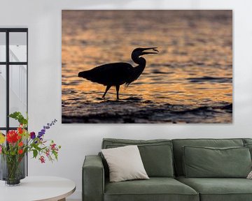 Blauwe Reiger silhouet vangt visje tijdens zonsondergang van Remco Van Daalen