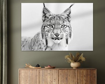 Lynx van Poster Art Shop